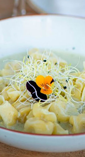 Primeros - Bendita Locura